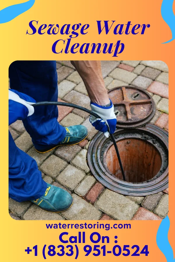 Sewage Water Cleanup in Glidden, IA
